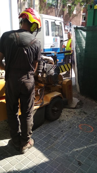 Destoconado de los árboles en Badalona Destoconado de los árboles en Badalona