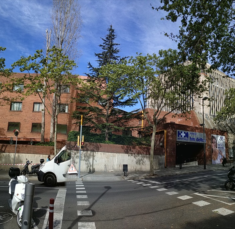 Cortar árboles en Barcelona