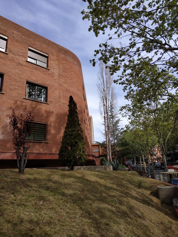 cortar arbol barcelona sarria 2