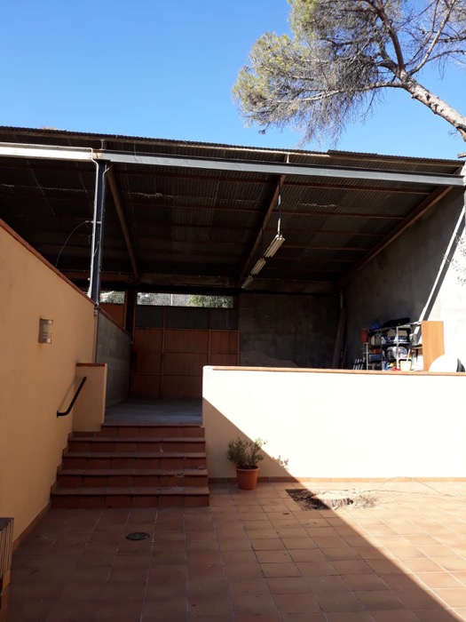 Talar árbol en Martorell Cortar pino en Martorell