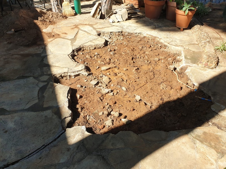 Pino caído en Pallejà (Baix Llobregat) Pino caído en Pallejà (Baix Llobregat)