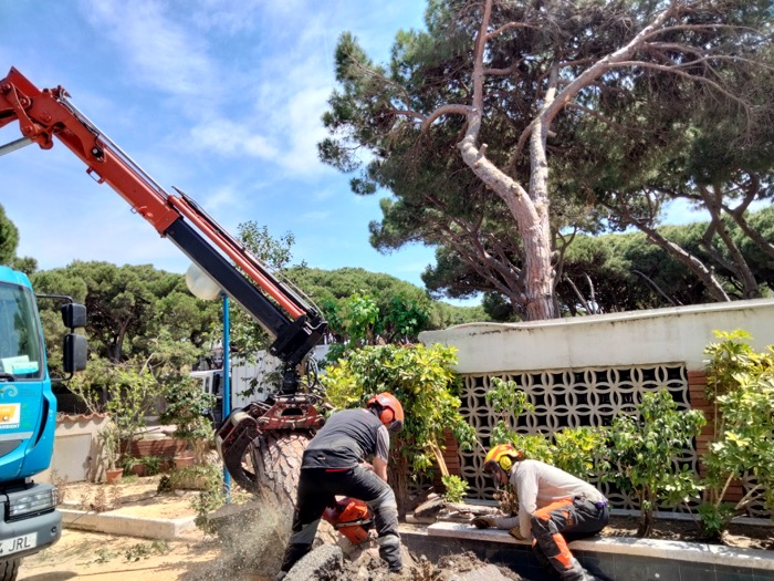 Retirar árbol caído urgente Gavà