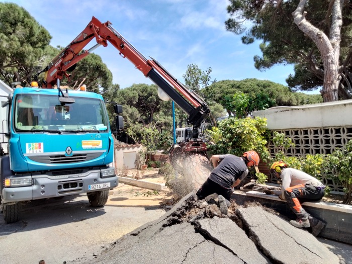 Retirar árbol caído urgente Gavà