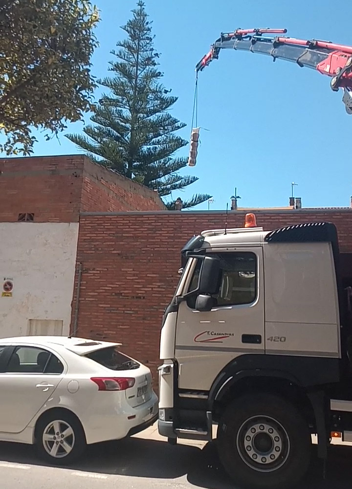 Cortar pino en Valldoreix (Sant Cugat)