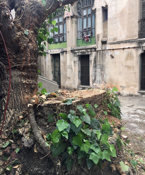 Mantenimiento de un jardín históricoen Barcelona