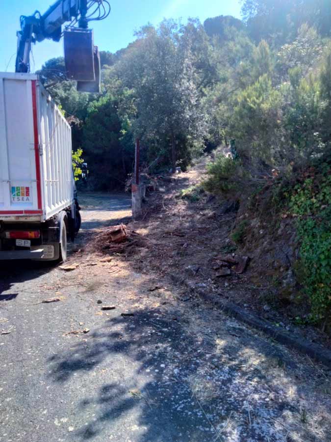 Recogida de restos de poda con pinza hidráulica en Barcelona (Collserola) Recogida de restos de poda con pinza hidráulica en Barcelona (Collserola)