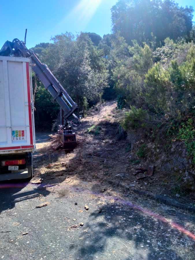 Recogida de Restos de poda que generan riesgo de incendio en Collserola - Barcelona