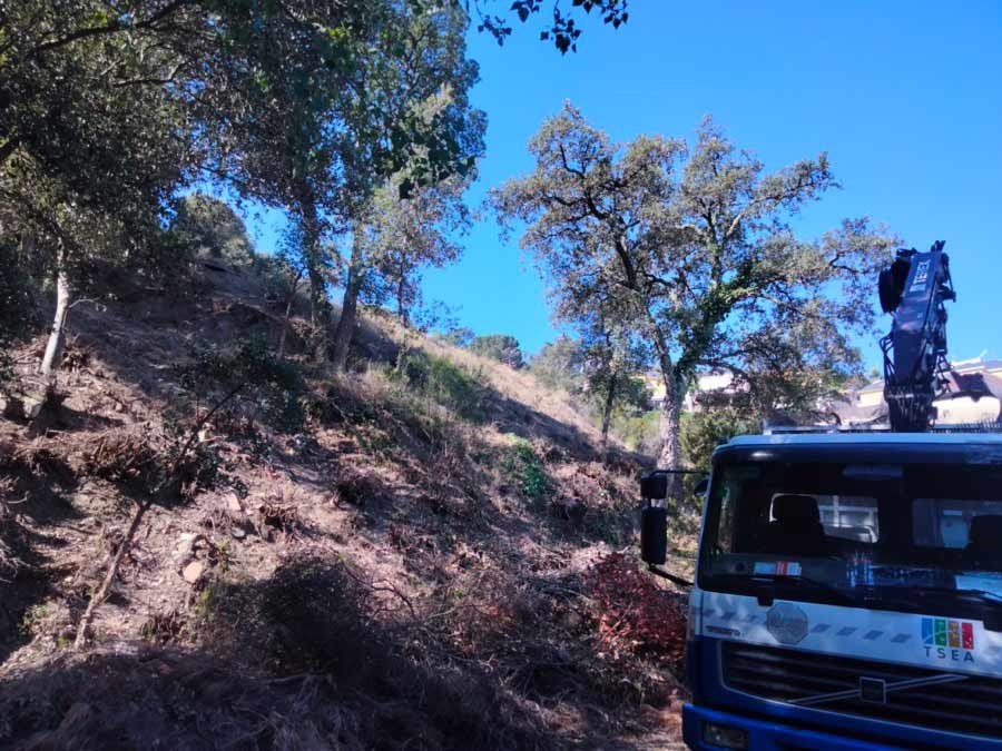 Recogida de poda en Barcelona Collserola ante riesgo de incendio Recogida de poda en Barcelona Collserola