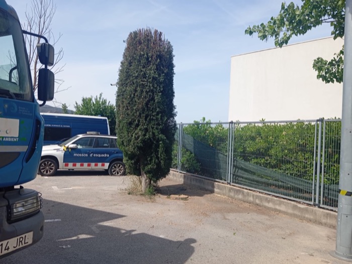 podar árbol matrorell castellbisbal