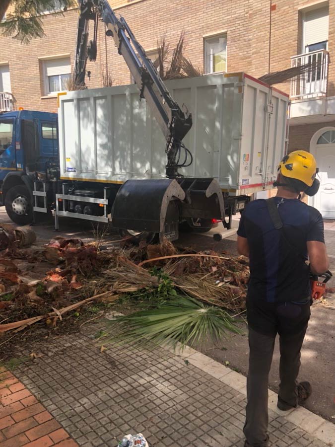 Retirada de restos de poda en Castelldefels (Baix Llobregat)