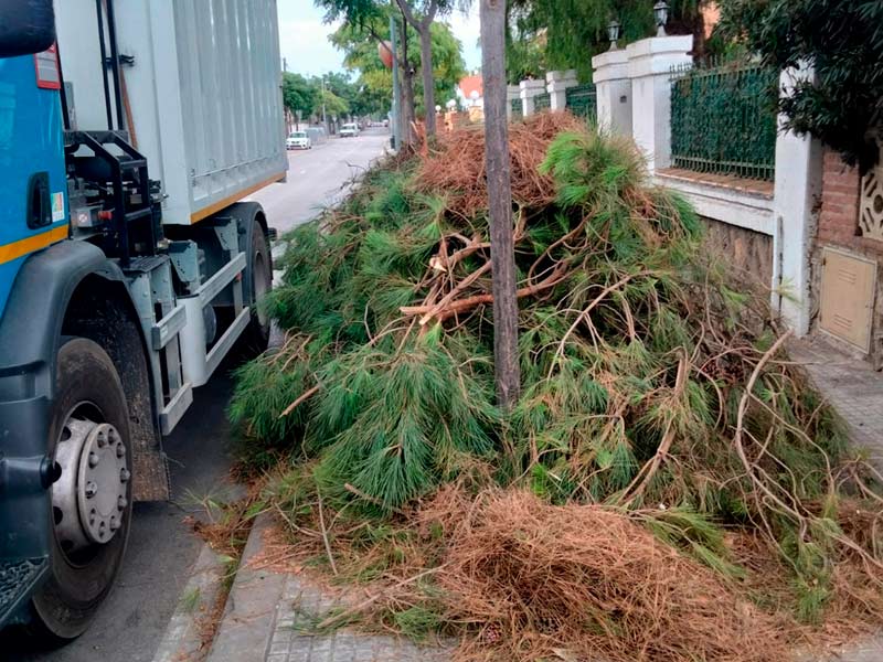 Retirada de restos de jardinería en Esplugues (Baix Llobregat)