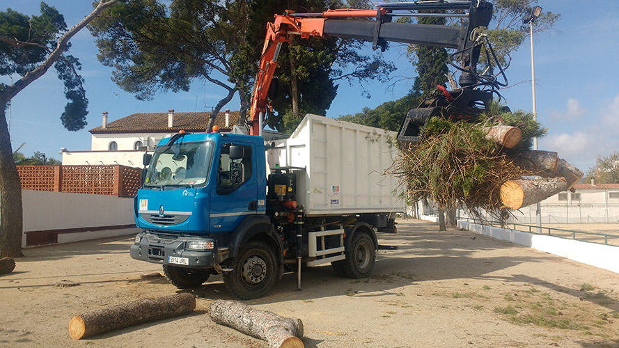 Retirada de los restos de tala del pino Retirada de los restos de tala del pino