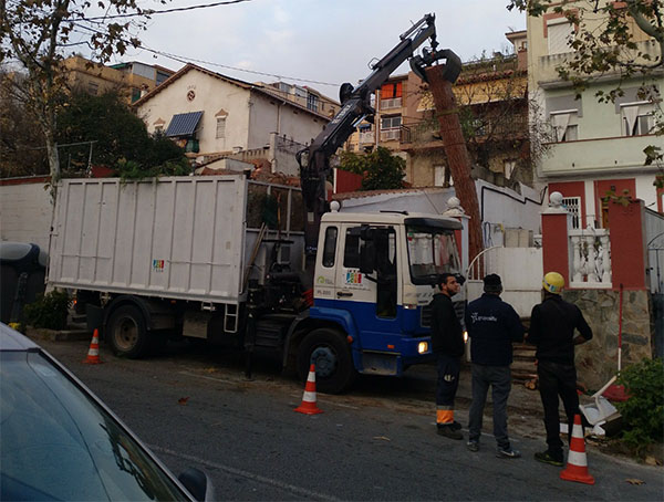 Cortar pino en Santa Coloma (Barcelona)