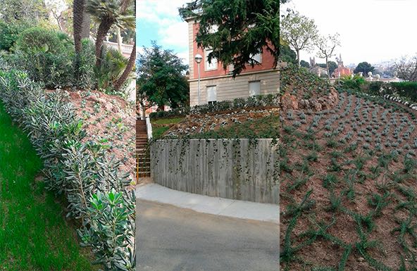 Plantación de jardín en Gavà (Barcelona) jardin gava barcelona